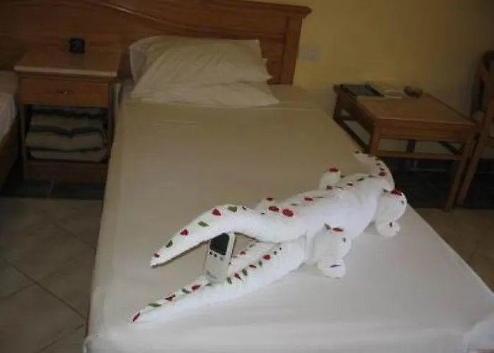 Brayka Bay Reef 4* Abu Dabab